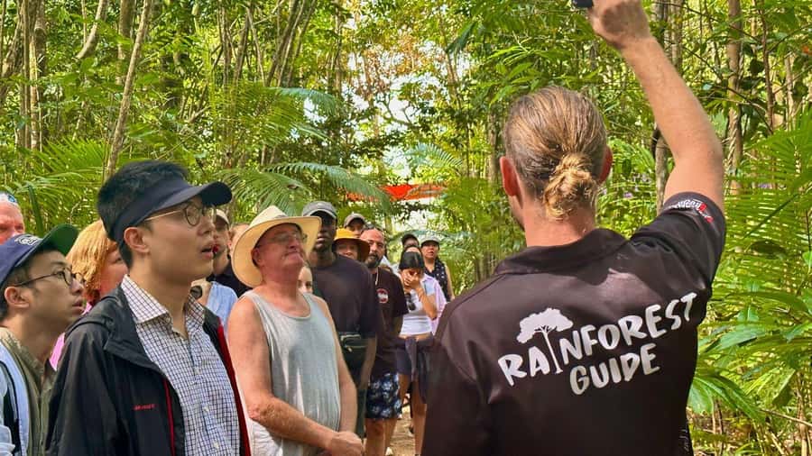 Cairns: Daintree Rainforest and Mossman Gorge Tour - Cape Tribulation and the Rainforest Meets the Reef Moment