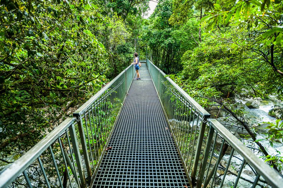 Cairns: Daintree Rainforest and Mossman Gorge Tour - The Daintree Ice Cream Co. Stop: Worth It, If You Like Local Flavors