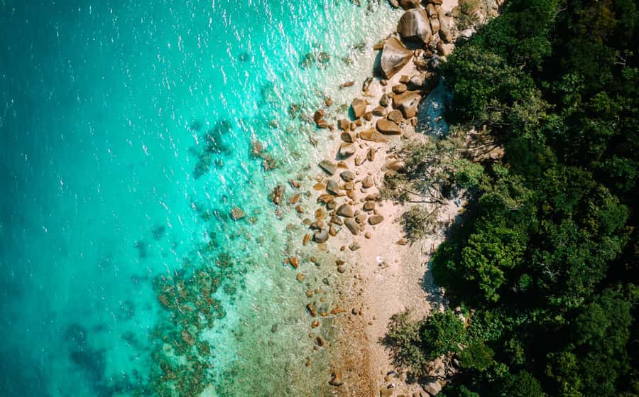 Cairns: Fitzroy Island Ferry with Optional Lunch & Activity - Key things to know before you go
