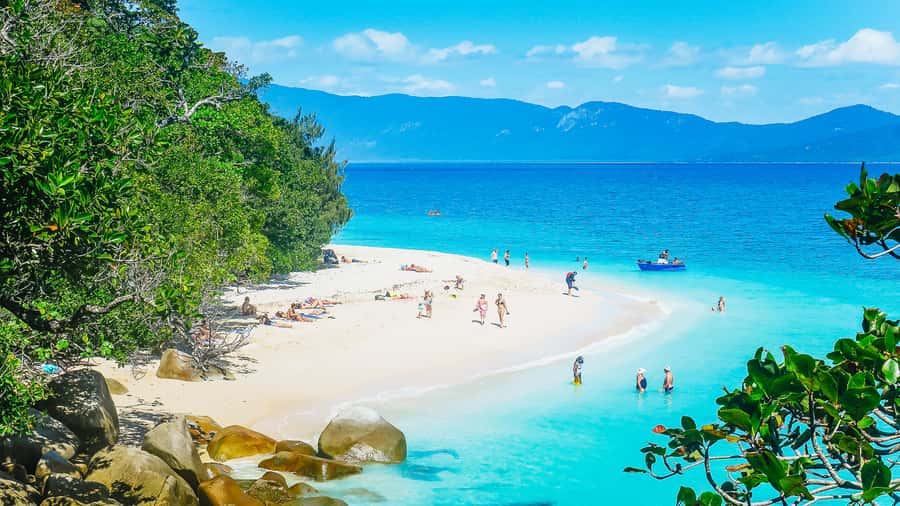 Cairns: Fitzroy Island Ferry with Optional Lunch & Activity - Snorkeling off the sand: what to expect and what upgrades help
