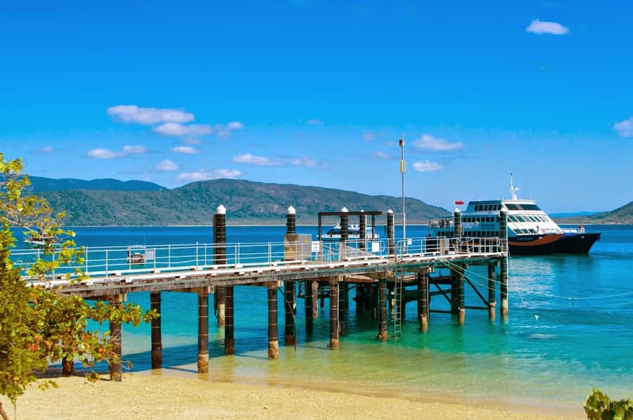 Cairns: Fitzroy Island Ferry with Optional Lunch & Activity - Price and value: where the $59 works best