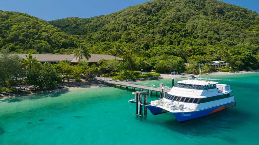 Cairns: Fitzroy Island Ferry with Optional Lunch & Activity - Fitzroy Island time: choose beaches or rainforest trails