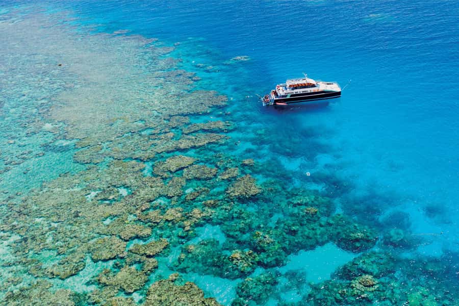Cairns: Great Barrier Reef Premium Diving Full Day Tour - How This Great Barrier Reef Day Really Works (9 Hours, 5 Hours in Water)