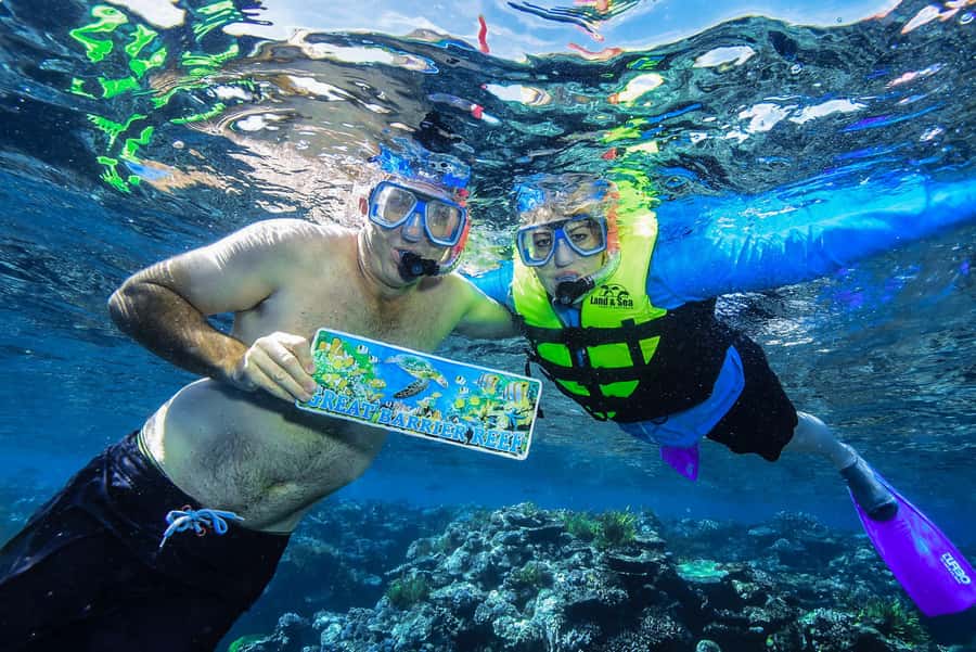 Cairns: Great Barrier Reef Premium Diving Full Day Tour - Price and Value: Is $127 Worth It?