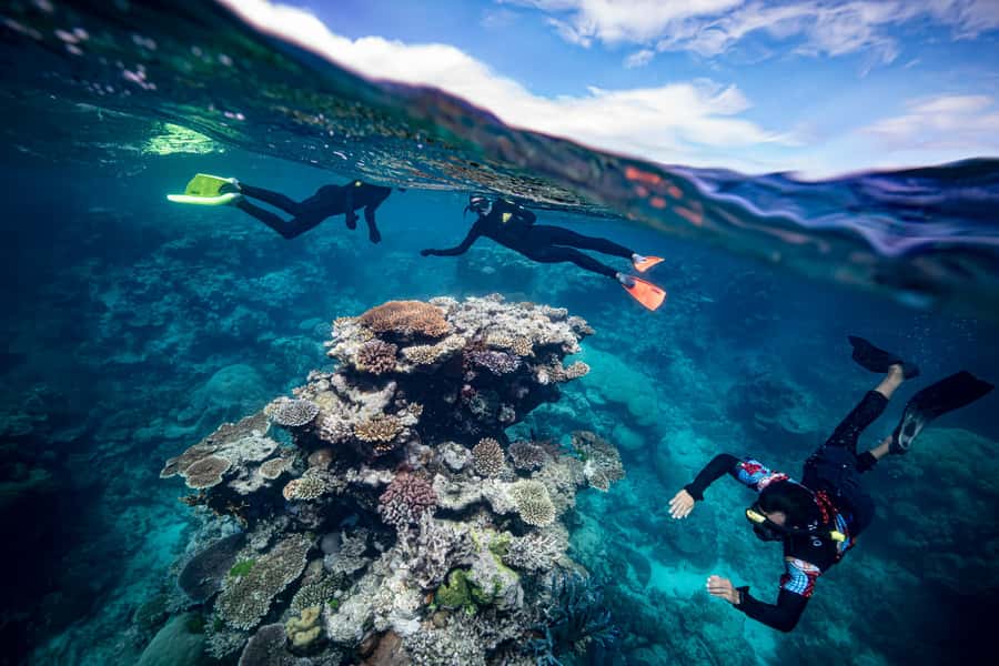 Cairns: Great Barrier Reef Premium Diving Full Day Tour - Should You Book Reef Magic & Dreamtime’s Reef Day?