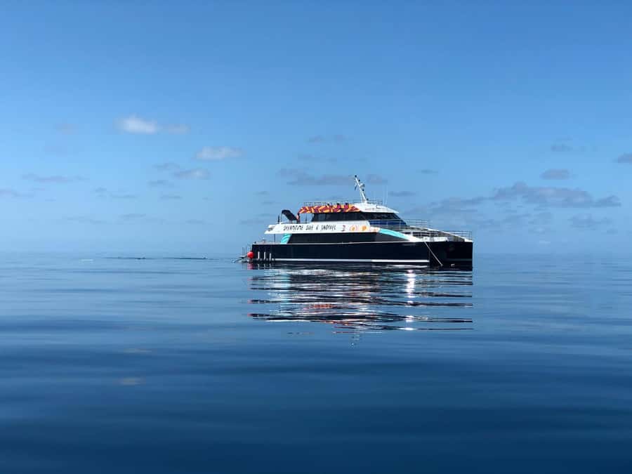 Cairns: Great Barrier Reef Premium Diving Full Day Tour - What You Learn Along the Way: Indigenous Stories That Connect Culture and Reef