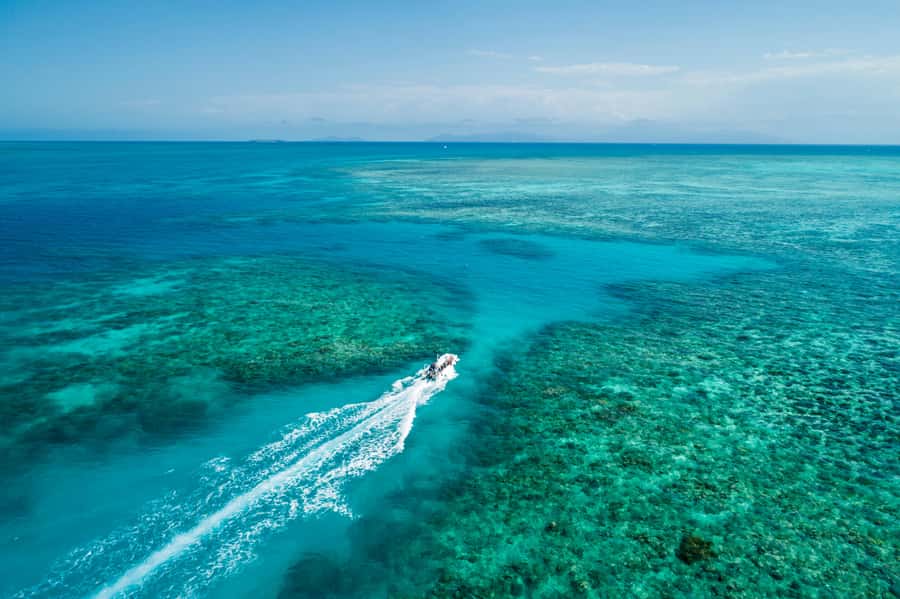 Cairns: Outer and Coral Cay Snorkel and Dive Cruise - Wonder Wall on Upolu Reef: Easy Snorkel, Big Life