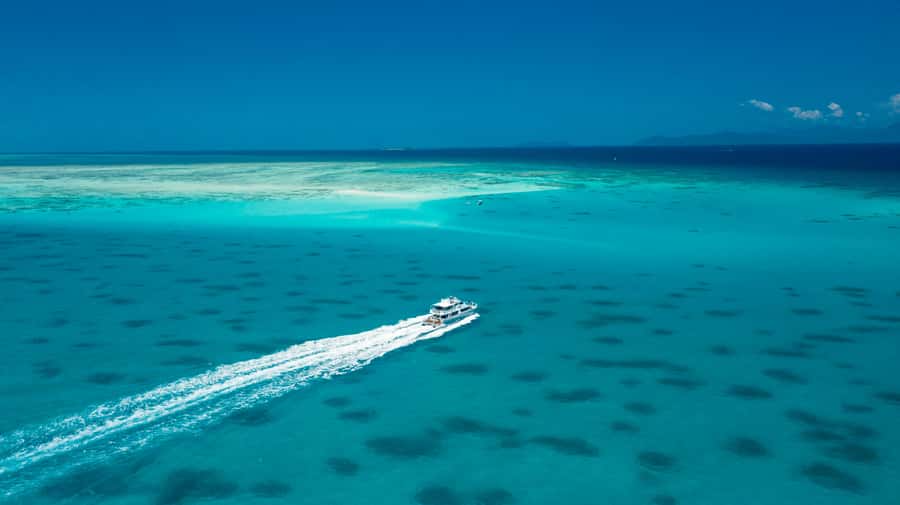 Cairns: Outer and Coral Cay Snorkel and Dive Cruise - Glass-Bottom Boat Viewing: Great When You Want to Watch, Not Hover