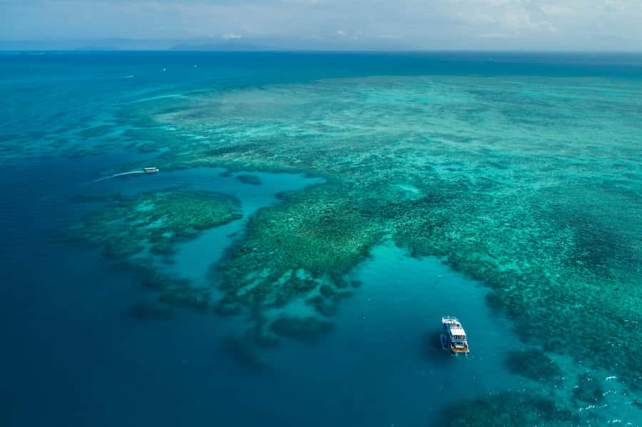 Cairns: Outer and Coral Cay Snorkel and Dive Cruise - Price and Value: What $183 Buys You in Real Time