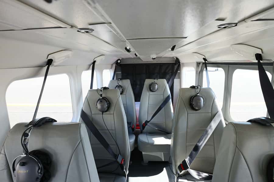Cairns: Outer Edges of The Great Barrier Reef Scenic Flight - The marine life odds: turtles, rays, sharks, and whale season