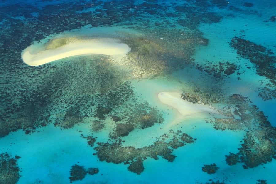 Cairns: Outer Edges of The Great Barrier Reef Scenic Flight - Pilot commentary and the window-seat advantage (plus a small gotcha)