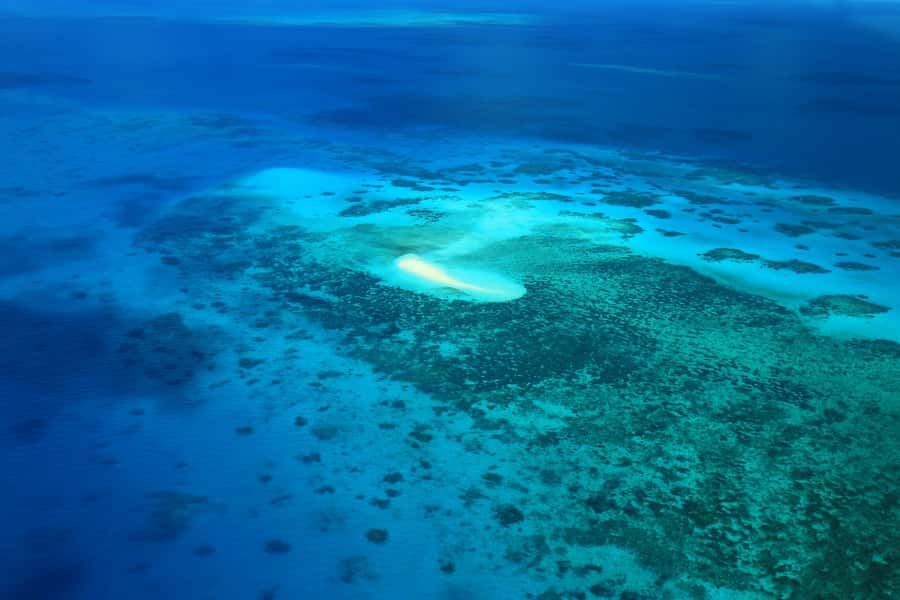 Cairns: Outer Edges of The Great Barrier Reef Scenic Flight - Price and value: is $169 worth it for a reef view from the sky?