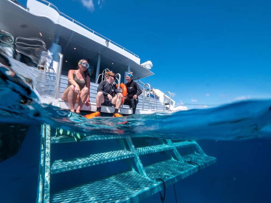Cairns: Premium Snorkelling and Diving Reef Day Trip - Should You Book It?
