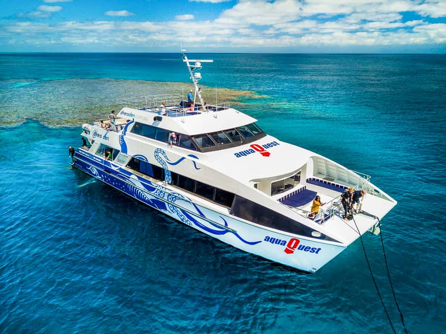 Cairns: Premium Snorkelling and Diving Reef Day Trip - Snorkel Gear and Fit: Wetsuits, Prescription Masks, and Easy Water Access