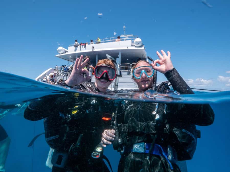 Cairns: Premium Snorkelling and Diving Reef Day Trip - Guided Snorkel Tour with Optional Intro Scuba Sessions
