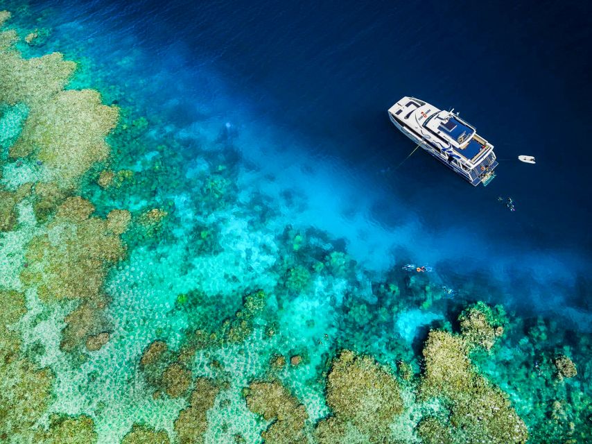 Cairns: Premium Snorkelling and Diving Reef Day Trip - Food on Board: Tropical Buffet Lunch and Multiple Tea Breaks