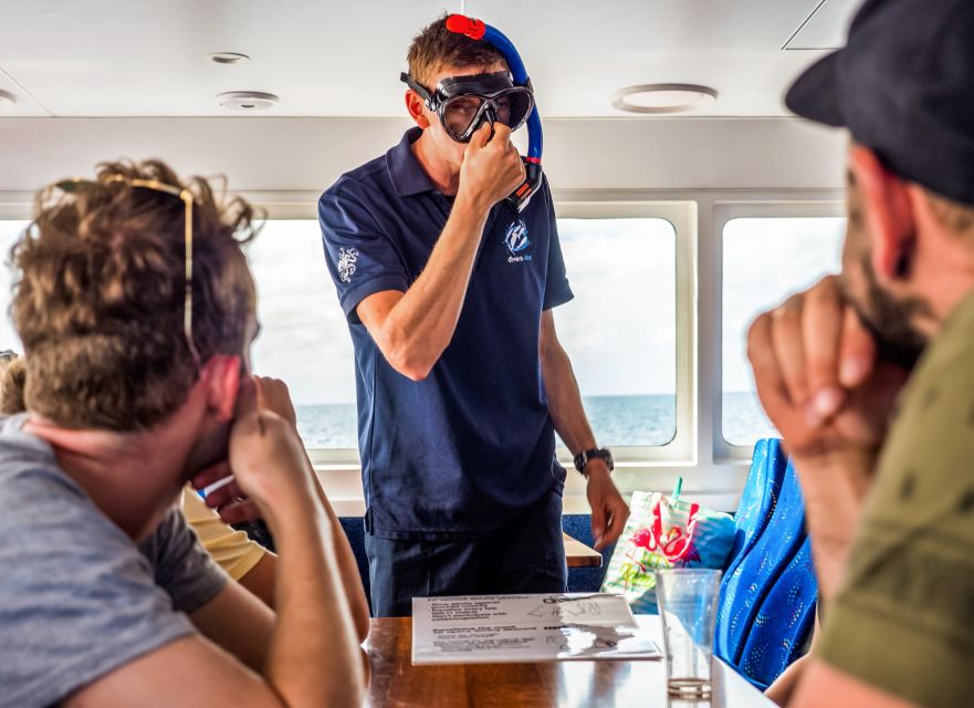 Cairns: Premium Snorkelling and Diving Reef Day Trip - Pace, Safety, and Reef Rules You’ll Actually Follow