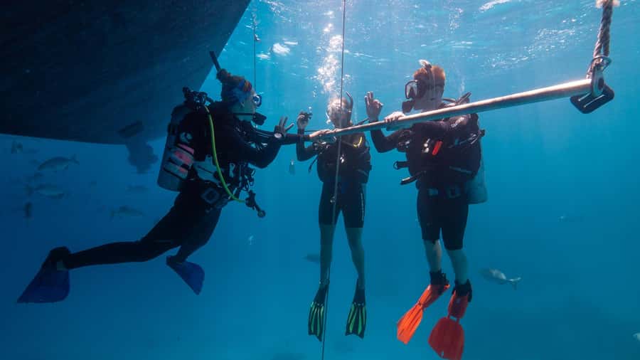 Cairns: Premium Snorkelling and Diving Reef Day Trip - What’s Included for $166 (and Where You Might Spend Extra)