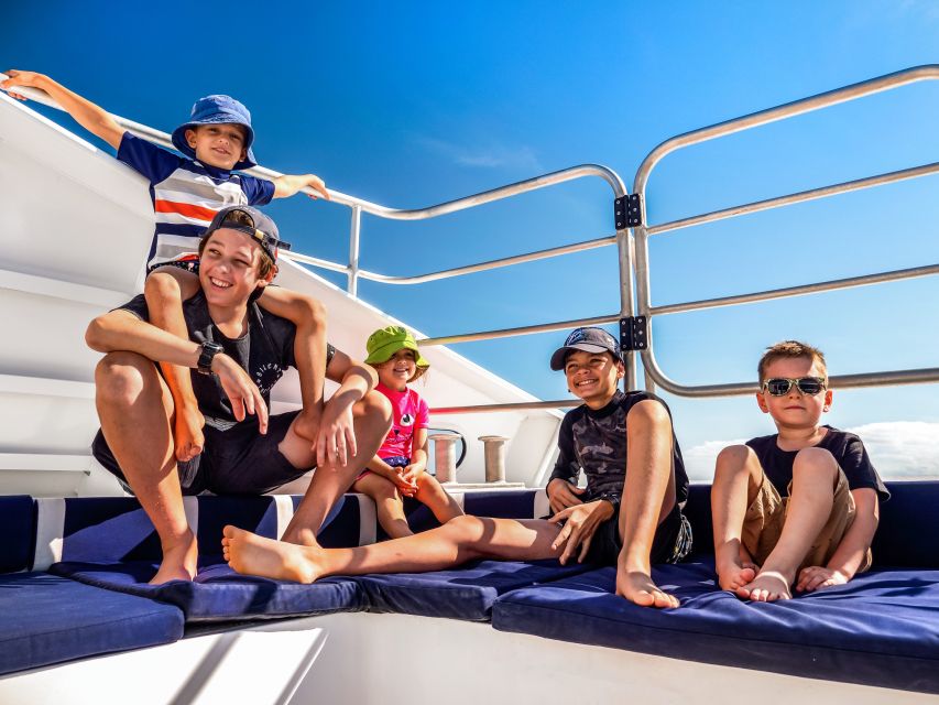 Cairns: Premium Snorkelling and Diving Reef Day Trip - Who Should Book This Cairns Reef Day Trip