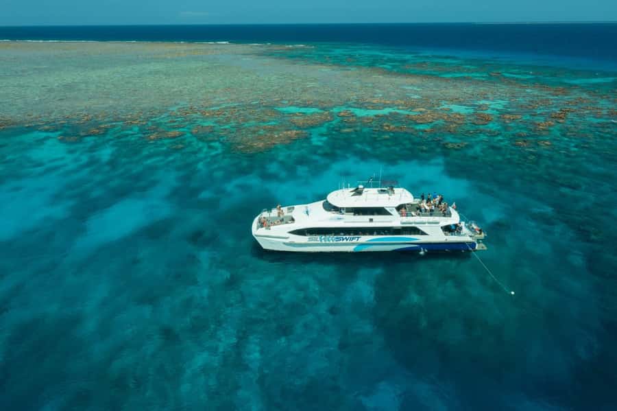 Cairns: Silverswift 3 Great Barrier Reef Sites in 1 Day - What you actually do on the reef day: snorkeling flow that feels organized