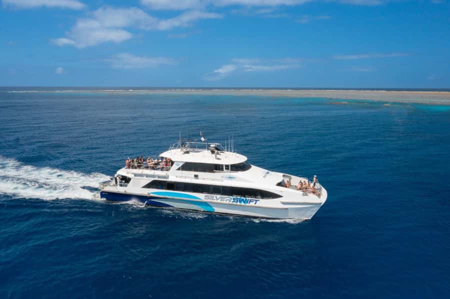 Cairns: Silverswift 3 Great Barrier Reef Sites in 1 Day - Morning on the water: the first reef stop (and how to use it well)