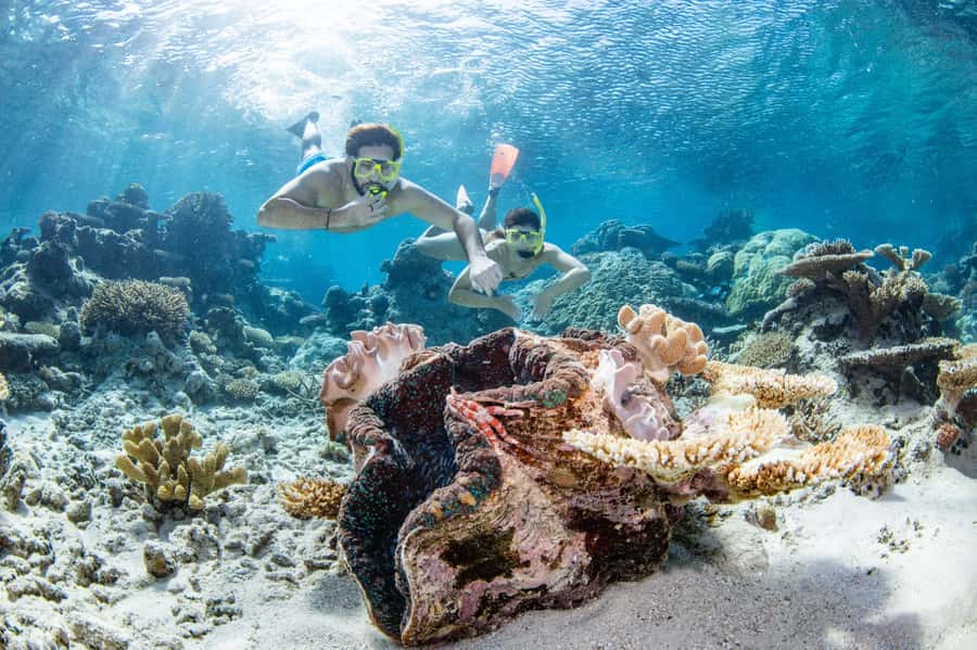 Cairns: Silverswift 3 Great Barrier Reef Sites in 1 Day - The boat experience: catamaran speed, comfort, and real water access