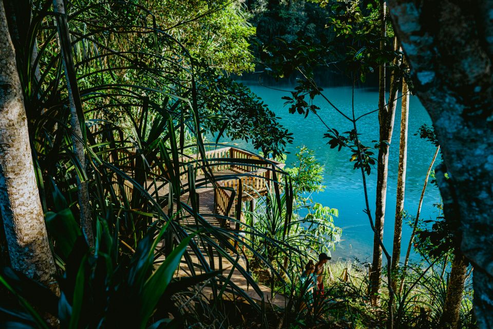 Cairns: Waterfall Tour with Lunch - Price and value: what $101 actually covers
