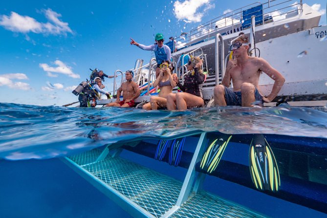 Calypso Outer Great Barrier Reef Cruise from Port Douglas - Key things I’d pin to your fridge