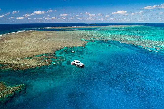 Calypso Outer Great Barrier Reef Cruise from Port Douglas - Certified scuba for experienced swimmers (proof required)