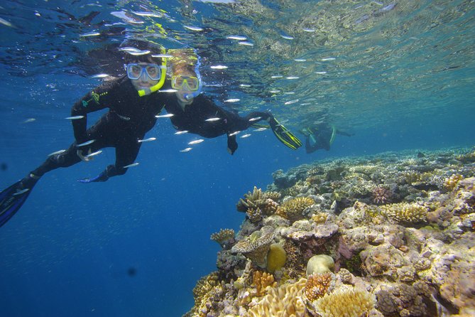 Calypso Outer Great Barrier Reef Cruise from Port Douglas - Crew style and group size: why the water time feels organized