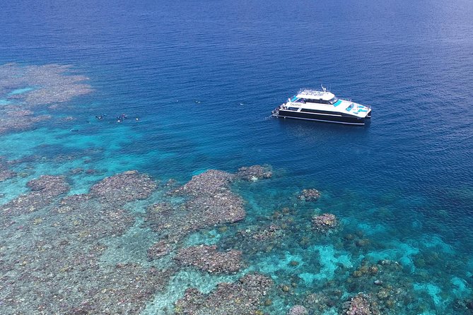 Calypso Outer Great Barrier Reef Cruise from Port Douglas - Opal Reef and Agincourt Reef: what three reef stops get you