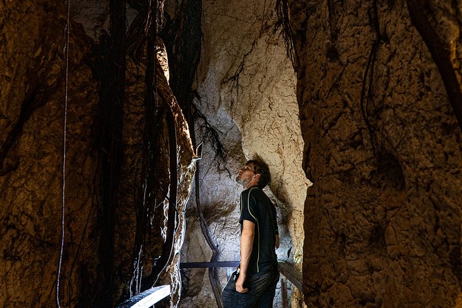 Capricorn Caves Cathedral Cave Tour - The guide makes the cave: facts, humor, and clear translations