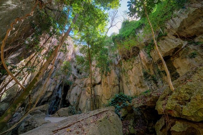 Capricorn Caves Cathedral Cave Tour - Limestone formations, ferns, and small bats: what you’re really looking for