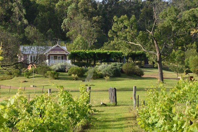 Chef-Led Hunter Valley Gourmet Food and Wine Day Tour from Sydney - Sydney Fish Market: where the day gets serious about seafood