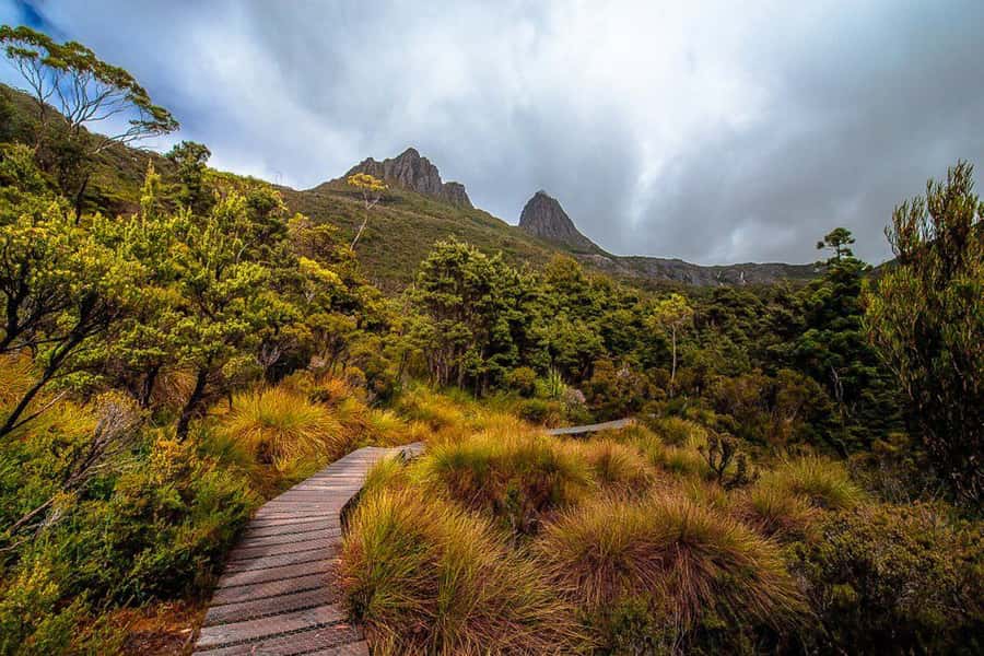 Cradle Mountain: Day Trip from Launceston with Lunch - Key points before you go