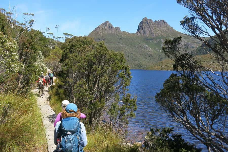 Cradle Mountain: Day Trip from Launceston with Lunch - Sheffield stop: murals, a snack break, and that quick culture hit