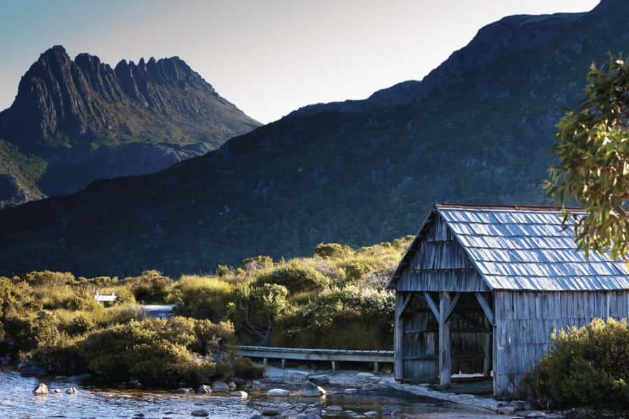 Cradle Mountain: Day Trip from Launceston with Lunch - Temperate rainforest walk: that short stroll people remember