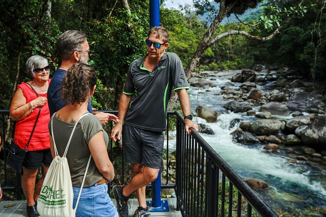 Daintree, Cape Tribulation & River Cruise from Port Douglas - Daintree River Wildlife Cruise: your best shot at crocodiles and birds