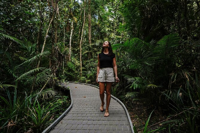 Daintree, Cape Tribulation & River Cruise from Port Douglas - Daintree National Park boardwalk walk: short, guided, and high-impact