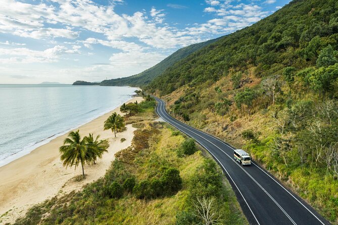 Daintree Rainforest and Cape Tribulation Full Day Tour - How the Daintree Rainforest and Cape Tribulation day fits together