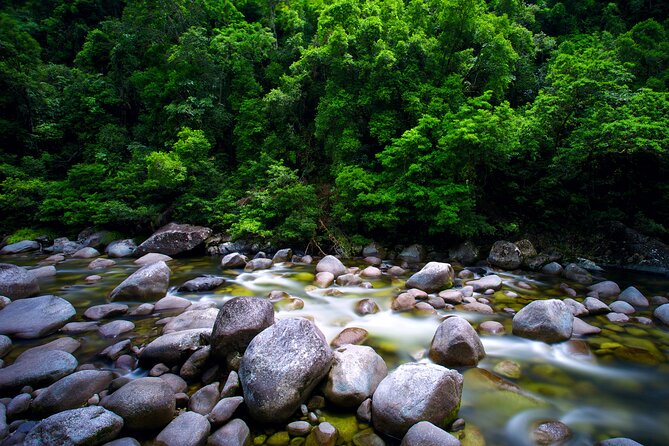 Daintree Rainforest, Mossman Gorge Small-Group from Port Douglas - Noah Valley private rainforest retreat walk: a calmer stretch of the day