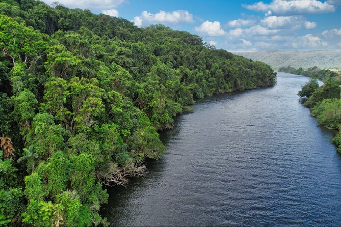 Daintree River Cruise - Wildlife Spotting Without the Jitter: Crocs, Birds, and Marine Life