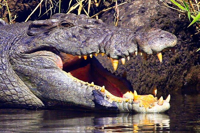 Daintree River Cruise - Boat Comfort, Group Size, and the Feeling of the Ride