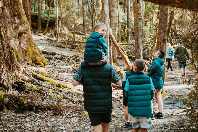 Day Tour in Mt. Field, Mt. Wellington, Bonorong Wildlife Sanctuary and Richmond - Russell Falls at Mount Field: Rainforest Walk With Waterfall Time