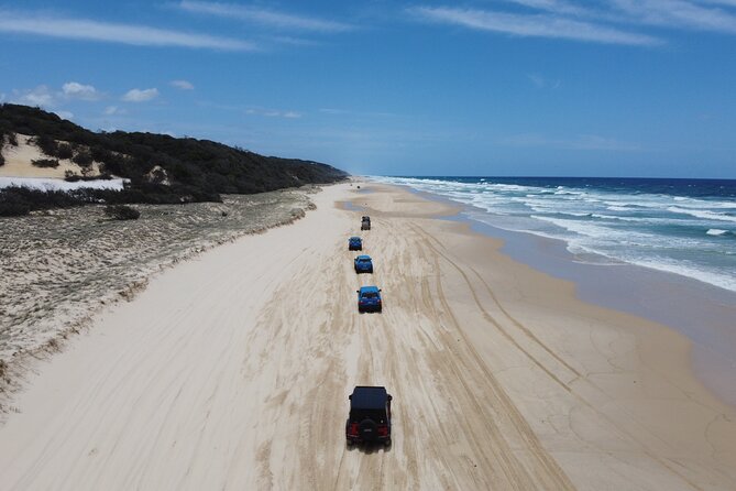 Dingos 3 Day K'Gari (Fraser Island) 4WD Tag-Along Tour - Camping on Fraser: dingo-proof beach nights and what that feels like