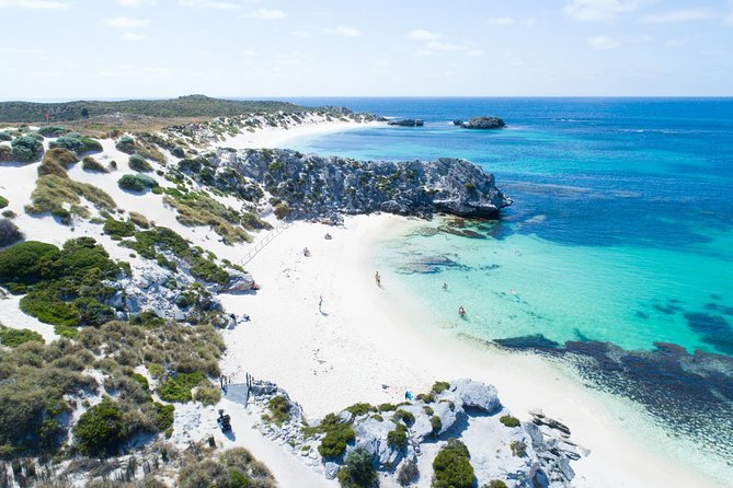 Discover Rottnest with Ferry & Bus Tour - Key highlights you should care about