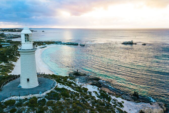 Discover Rottnest with Ferry & Bus Tour - Fremantle vs Perth: picking the best ferry start for your day