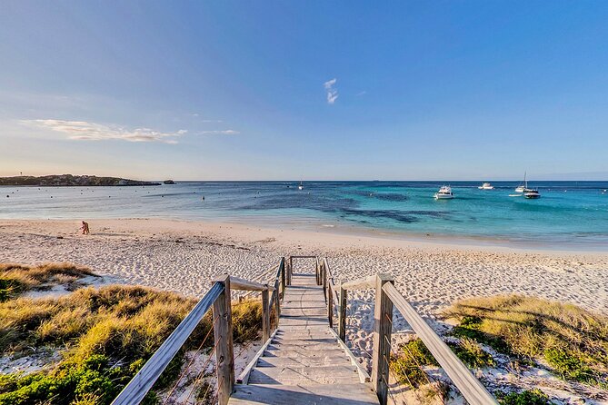Discover Rottnest with Ferry & Bus Tour - Value check: what $102.92 buys, and what you’ll still pay for