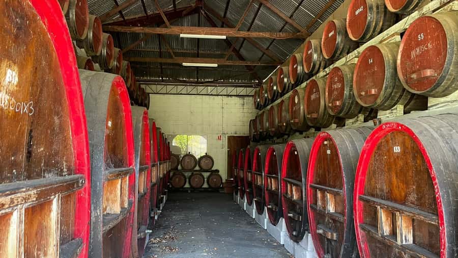 From Adelaide: Barossa to Hahndorf Wine Tasting and Lunch - Hahndorf in 90 minutes: the German streets feel real, but time is the limit