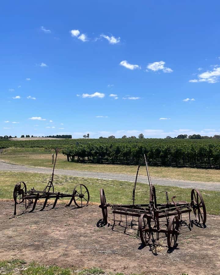 From Adelaide: Barossa to Hahndorf Wine Tasting and Lunch - Who this tour suits best (and who should think twice)